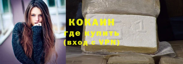 индика Алексин