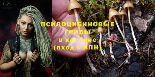 трава Алзамай