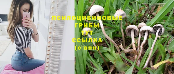 индика Алексин