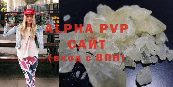 индика Алексин