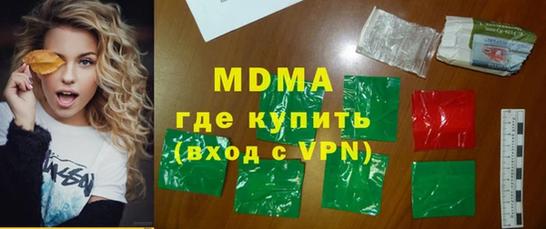 индика Алексин